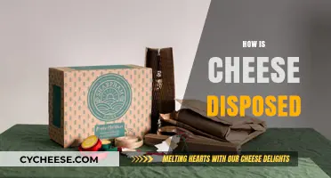 Eco-Friendly Cheese Disposal: Sustainable Ways to Handle Leftover Cheese