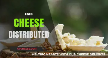 From Dairy to Doorstep: The Journey of Cheese Distribution Explained