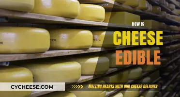 How Cheese Stays Edible: The Science Behind Its Preservation