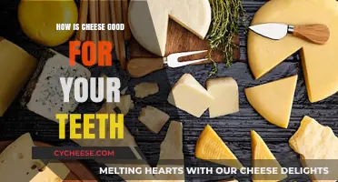 Cheese: Your Teeth's Best Friend