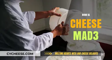 From Milk to Cheese: Unveiling the Art of Cheese Making