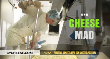 The Art of Cheesemaking: Unveiling the Secrets Behind Delicious Cheeses