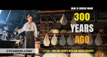 Cheese's Ancient Art: Unveiling 300-Year-Old Techniques