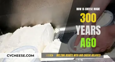 Cheese-Making: Ancient Techniques and Traditional Secrets