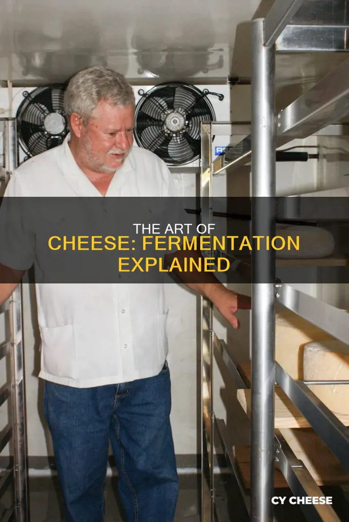 how is cheese made by fermentation