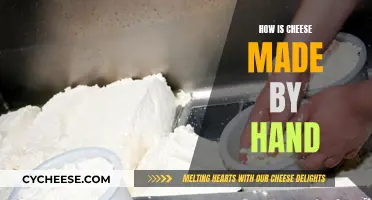 Handmade Cheese: Crafting Delicious Dairy Delicacy