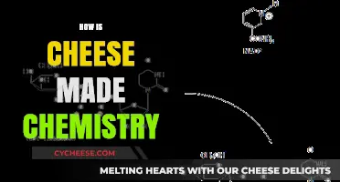 Unveiling the Science of Cheese: A Chemical Journey