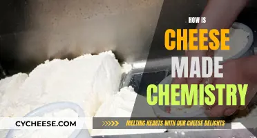 The Chemistry of Cheese: From Milk to Maturity