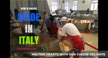 The Art of Italian Cheese: A Journey from Milk to Maturity