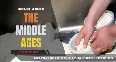 Cheese-Making Techniques of the Middle Ages