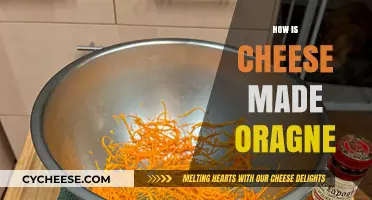 Unveiling the Magic: A Journey from Milk to Orange Cheese