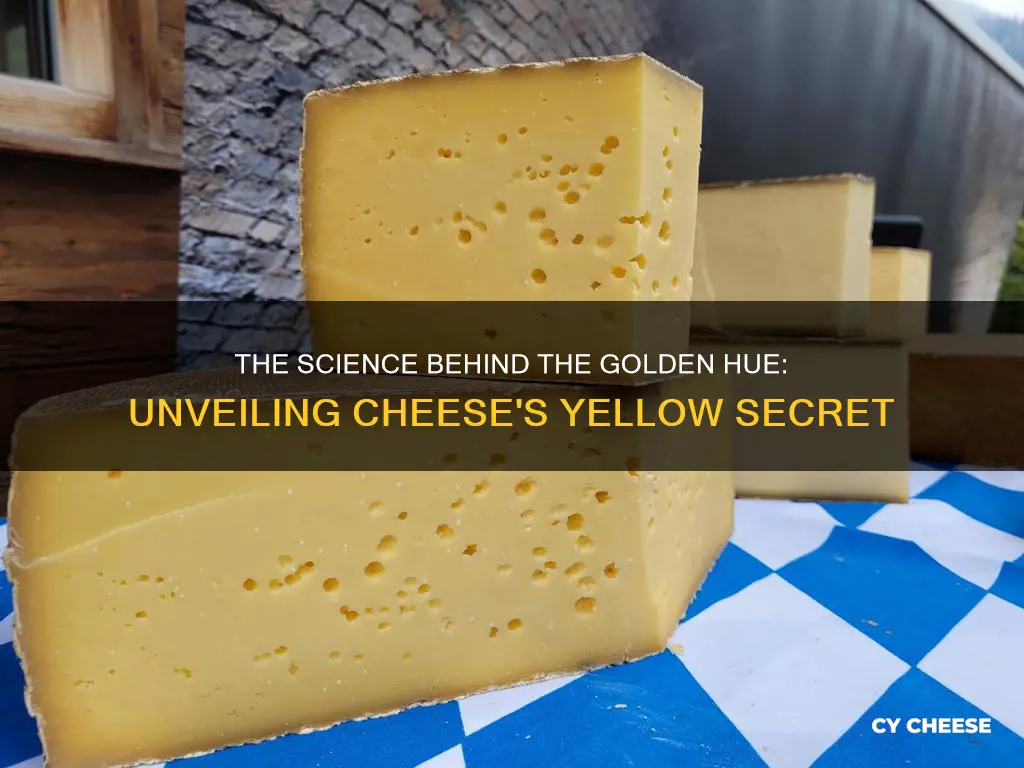 how is cheese made to look yellow