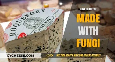 Unveiling the Magic: How Fungi Transform Milk into Cheese