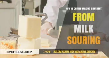Cheese Making vs. Milk Souring: Key Differences Explained