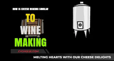 Cheese and Wine: Shared Artistry in Fermentation and Aging Processes