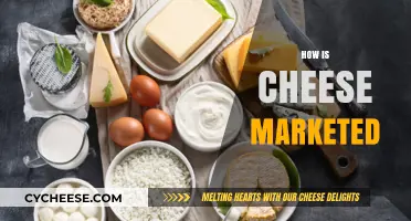 Creative Cheese Marketing: Strategies to Sell the Perfect Bite