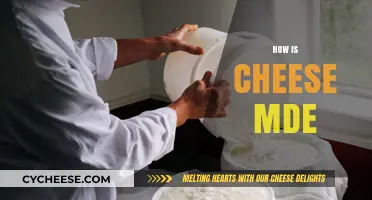 From Milk to Cheese: The Art and Science of Cheese Making