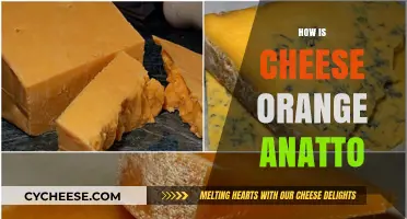 How Annatto Turns Cheese Orange: The Natural Color Secret