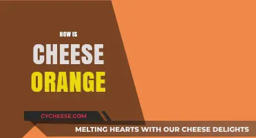 Why Is Cheese Orange? Uncovering the Surprising Secrets Behind Its Color