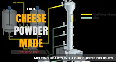 Unveiling the Magic: From Milk to Cheese Powder