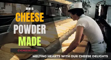 Cheese Powder: Making Process Explained