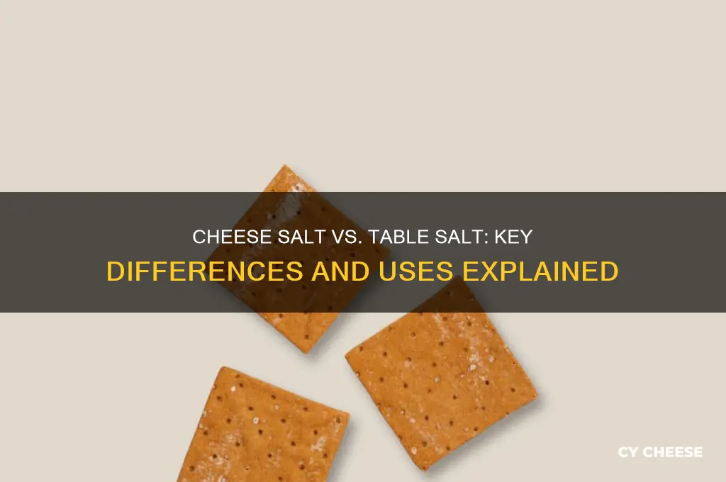 how is cheese salt different from table salt