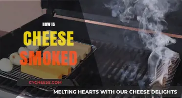 The Art of Smoking Cheese: Techniques, Flavors, and Tips