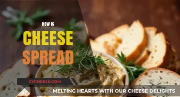 Mastering the Art of Spreading Cheese: Tips and Techniques