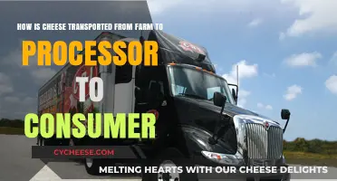 From Farm to Fridge: The Journey of Cheese Transportation