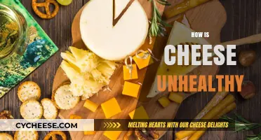 Is Cheese Bad for You? Uncovering the Hidden Health Risks