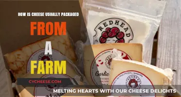 From Farm to Fridge: Common Cheese Packaging Methods Explained