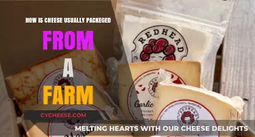 From Farm to Fridge: Common Cheese Packaging Methods Explained