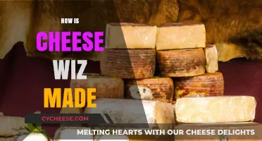 Unveiling the Secrets: A Journey into the Art of Cheesemaking