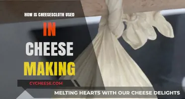 Cheesecloth: Its Role in Cheese Making
