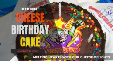 Chuck E. Cheese's Birthday Cake: A Kid's Dream Come True