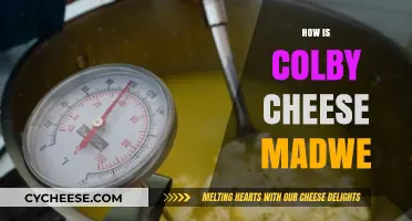 Crafting Colby Cheese: A Step-by-Step Guide to Its Making