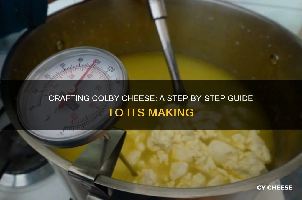 how is colby cheese madwe