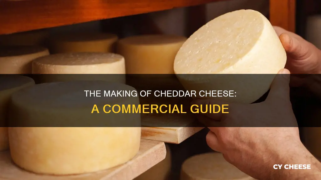 how is commercial cheddar cheese made