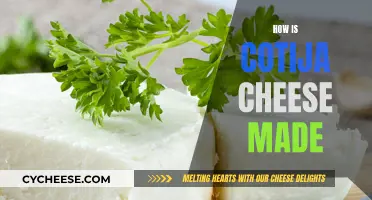 The Art of Cotija Cheese Making