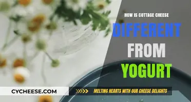 Cottage Cheese vs. Yogurt: Key Differences in Texture, Taste, and Nutrition