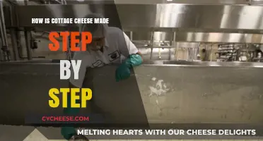 Crafting Cottage Cheese: A Simple Step-by-Step Homemade Guide
