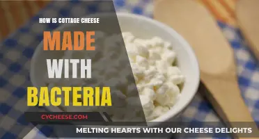 From Bacteria to Curds: The Science Behind Cottage Cheese Production