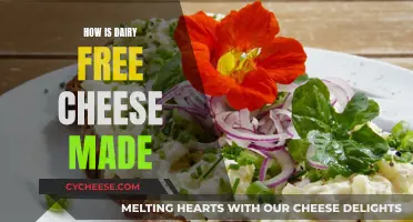 Dairy-Free Delights: The Art of Vegan Cheese Making