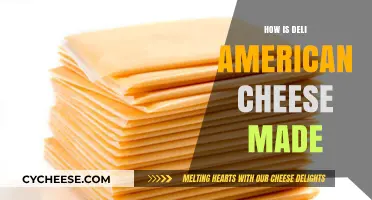 Unveiling the Secrets: Crafting Deli American Cheese