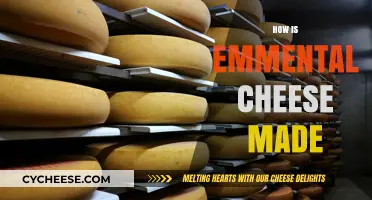 The Art of Emmental: Unveiling the Secrets of Swiss Cheese