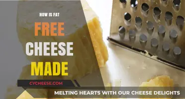 Unveiling the Magic: How Fat-Free Cheese is Crafted