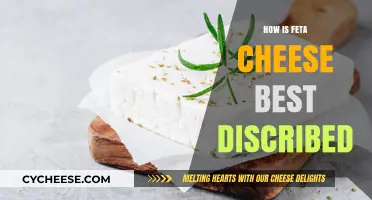 Feta Cheese: A Comprehensive Description