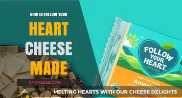 The Art of Crafting Follow Your Heart Cheese: A Journey to Flavor