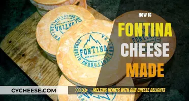 The Art of Fontina: A Cheesy Journey