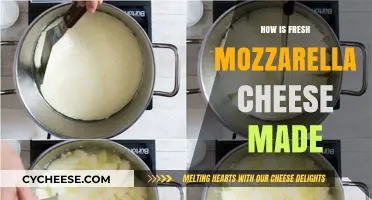 Crafting Mozzarella: A Journey from Milk to Cheese